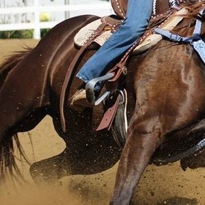 Meet your Posher, Jami